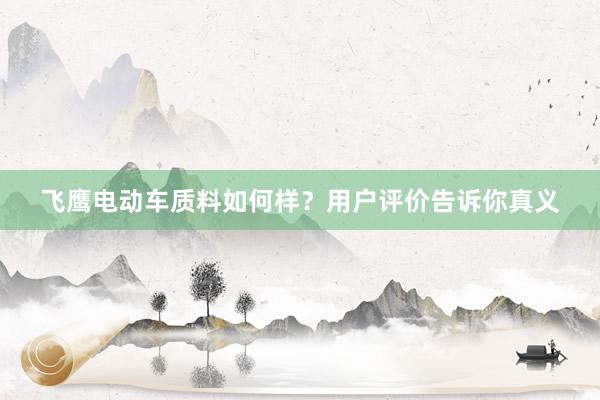 飞鹰电动车质料如何样？用户评价告诉你真义