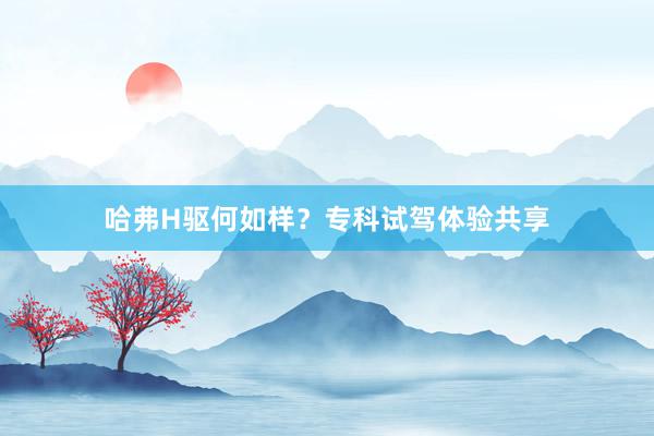 哈弗H驱何如样？专科试驾体验共享