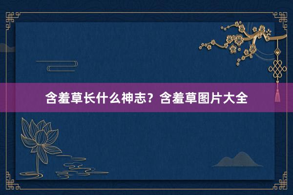 含羞草长什么神志？含羞草图片大全