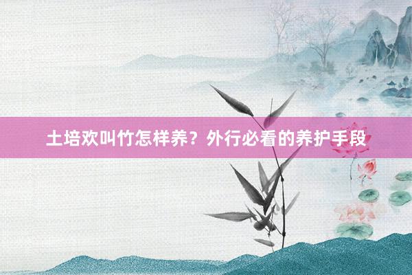 土培欢叫竹怎样养？外行必看的养护手段