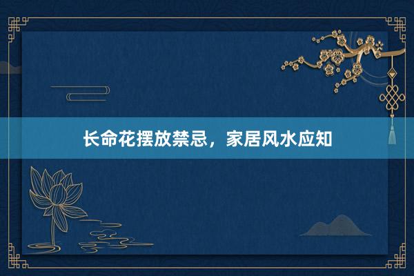 长命花摆放禁忌，家居风水应知